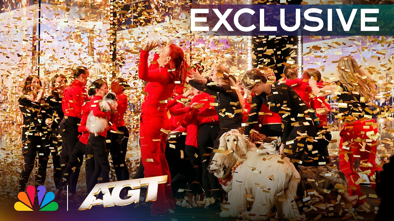 **Golden Buzzer! Acro Canine Crew Zachwyca AGT Niezapomnianym Występem 🐶✨**